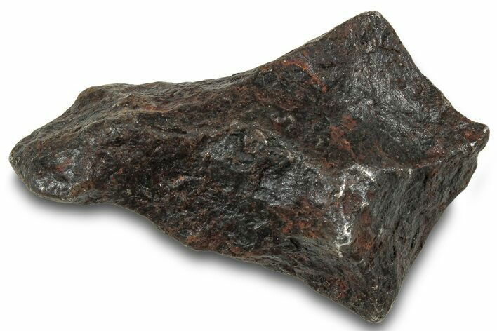 Canyon Diablo Iron Meteorite ( g) - Arizona #319597